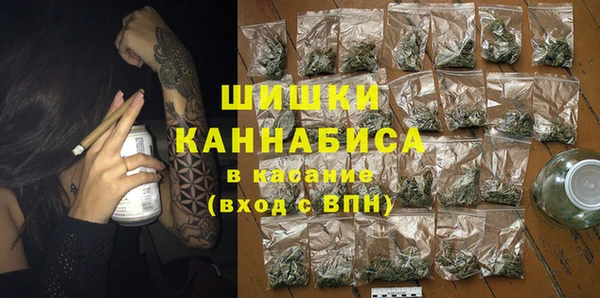 метадон Алексин