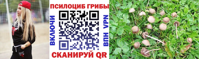 Галлюциногенные грибы GOLDEN TEACHER что такое Губкин