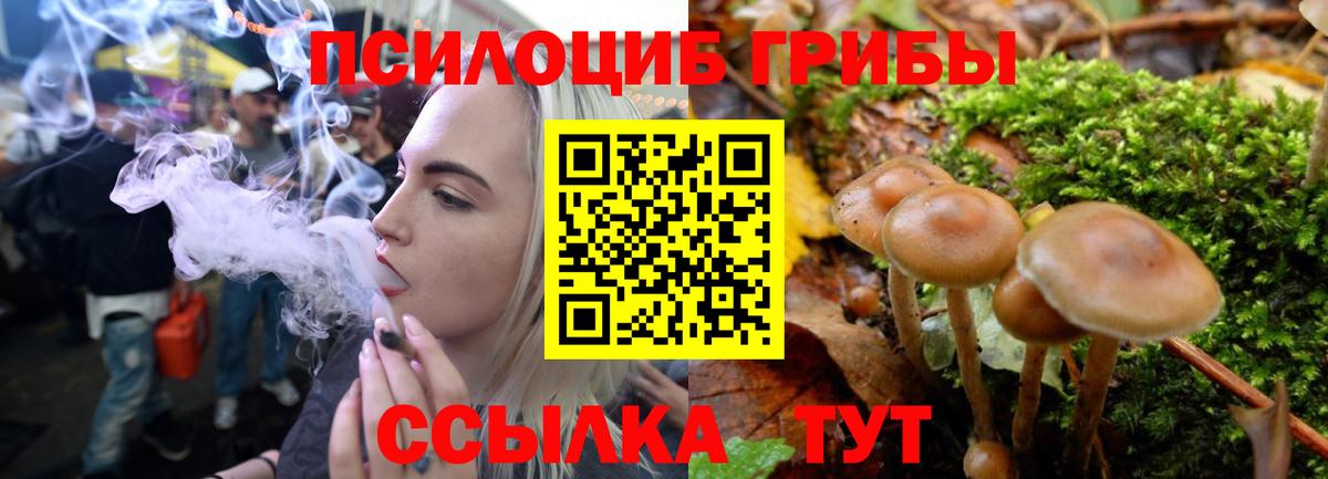 Губкин  Псилоцибиновые грибы GOLDEN TEACHER  хочу наркоту  Вход с VPN 