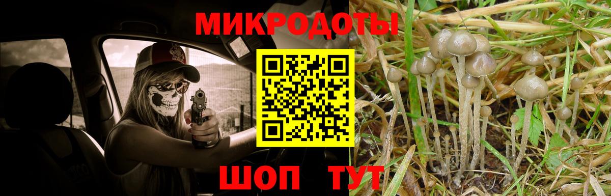 Галлюциногенные грибы Cubensis Губкин